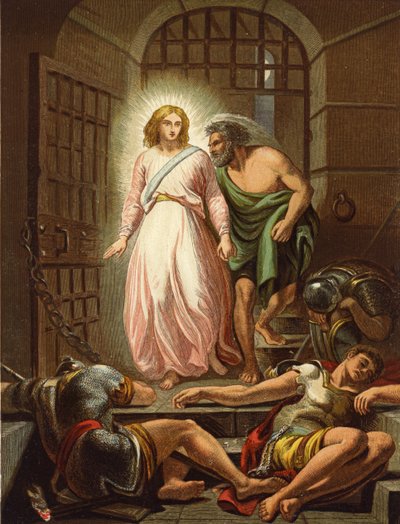Liberazione di San Pietro da English School