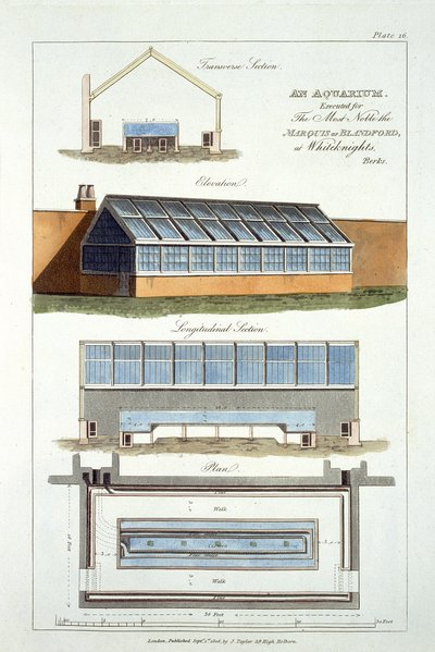 Progetto per un acquario, eseguito per il Marchese di Blandford a Whiteknights, 1806 da English School