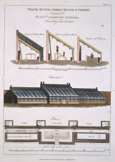 Progetto per una casa delle pesche, una serra e una pineta, 1806 da English School