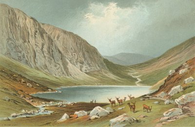 Dhu Loch - Loch-Na-Gar da English School