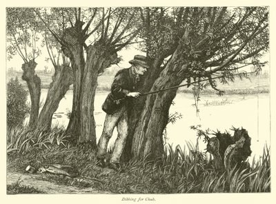 Pesca al Cavedano da English School