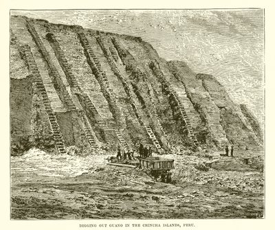 Estrazione del guano nelle isole Chincha, Perù da English School