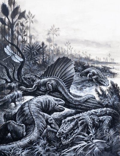 Dinosauri (gouache su carta) da English School