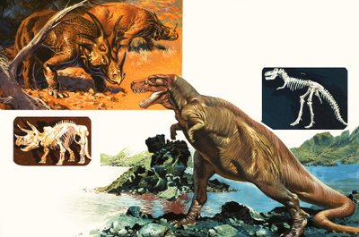 Dinosauri e scheletri. Stegosauro e Tirannosauro da English School