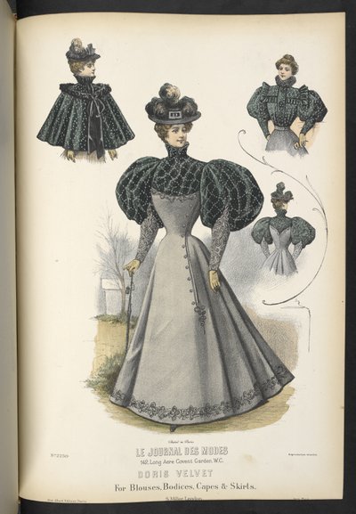 Velluto Doris, per camicette, corpetti, mantelle e gonne, The Dressmaker and Milliner, 1895 da English School