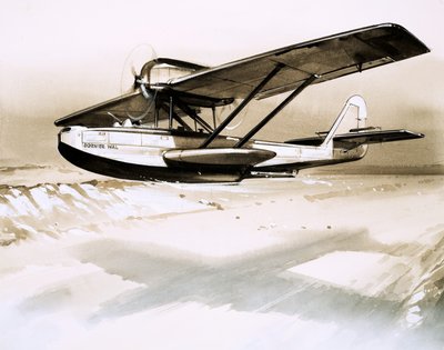 Dornier Wal, idrovolante tedesco bimotore da English School