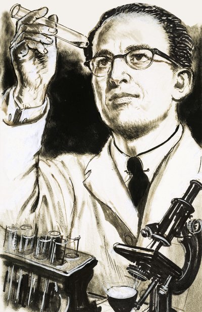 Dr Jonas Salk, creatore del vaccino antipolio, guarda una provetta da English School