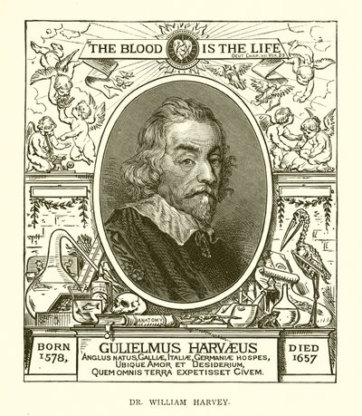 Dr. William Harvey da English School