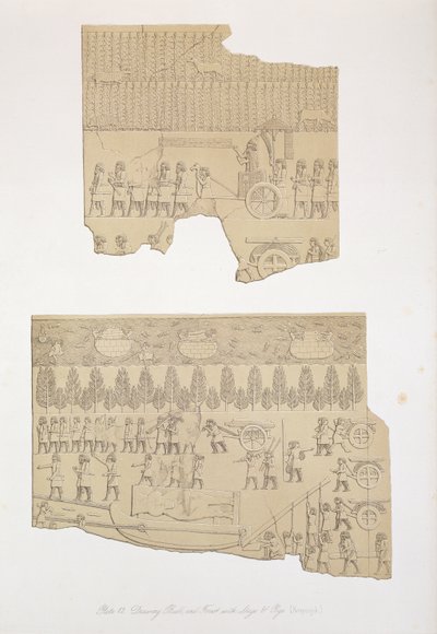 Disegno di toro, e foresta con cervi e maiali, Koujunjik, tavola 12 da Ninive e i suoi resti di Austen Henry Layard (1817-94) pubblicato 1849 da English School