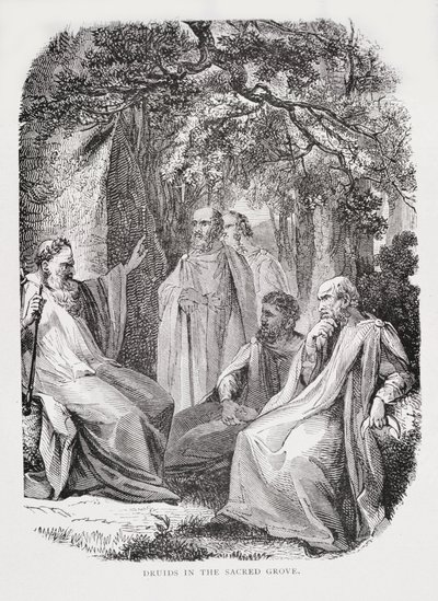Druidi nel bosco sacro, da La storia della Francia, di Emile de Bonnechose, pubblicato da Ward, Lock and Co, Londra da English School