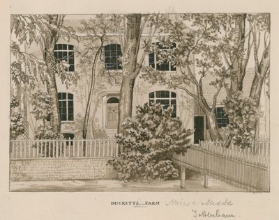 Fattoria Ducketts, Tottenham, Londra da English School