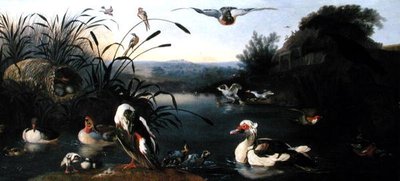Anatre su uno stagno da English School