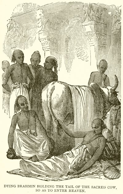 Brahmino morente che tiene la coda della Sacra Mucca per entrare in Paradiso da English School