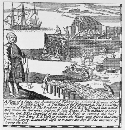 Prime fasi della pesca, illustrazione dal Volume IV di 
