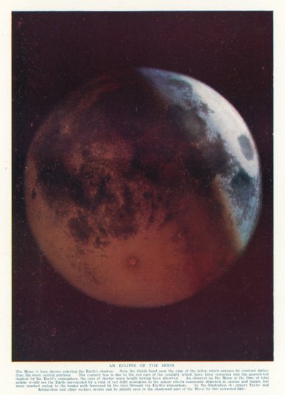 Eclissi della Luna da English School