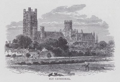 Cattedrale di Ely da English School