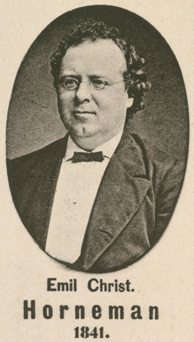 Emil Christian Horneman da English School