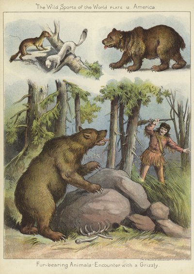 Incontro con un grizzly da English School