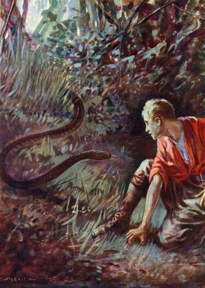 Incontro con un serpente nella giungla da English School