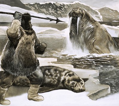 Inuit che attacca un tricheco da English School