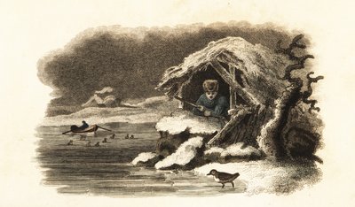 Merlo acquaiolo europeo che cammina nel Lago Nantua, Francia, e continua sommerso sul fondo del lago in una bolla d