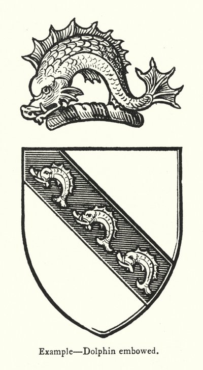 Esempio, delfino arcuato da English School