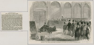 Esibizione del domatore di cavalli americano alla presenza di Sua Maestà e della Corte, a Buckingham Palace da English School