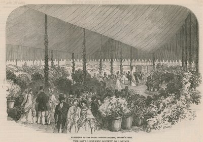 Esposizione della Royal Botanic Society da English School