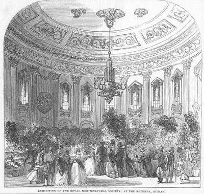 Esposizione della Royal Horticultural Society, alla Rotonda, Dublino, illustrazione da 