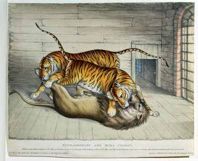 Combattimento Straordinario e Fatale, 1830 da English School
