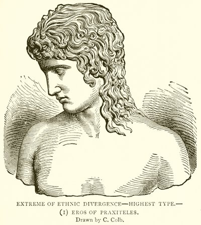 Estremo della divergenza etnica--tipo più alto.--(1) Eros di Prassitele da English School