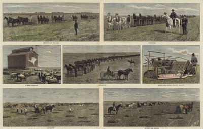 Agricoltura nelle pianure del Nord America da English School
