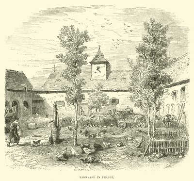 Cortile di una fattoria in Francia da English School