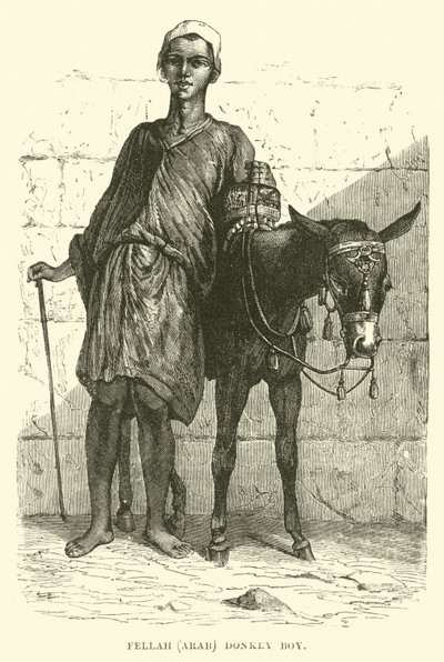 Fellah, arabo; ragazzo con asino da English School