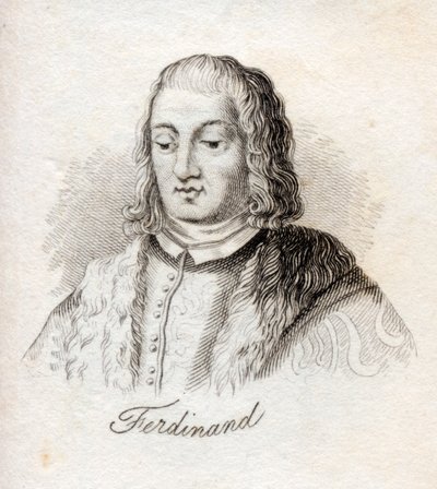 Ferdinando V, Re di Castiglia, da 