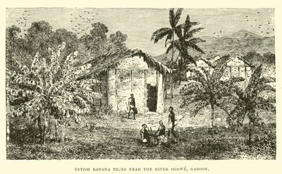 Alberi di banana feticcio vicino al fiume Ogowe, Gabon da English School