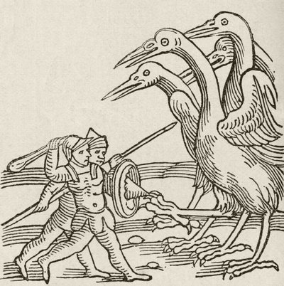 Combattimento tra Pigmei e Gru. Una storia della mitologia greca. Da The Strand Magazine pubblicato nel 1897. da English School