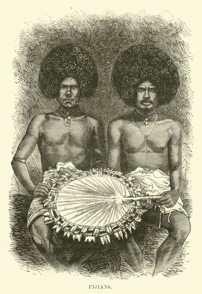 Fijiani da English School