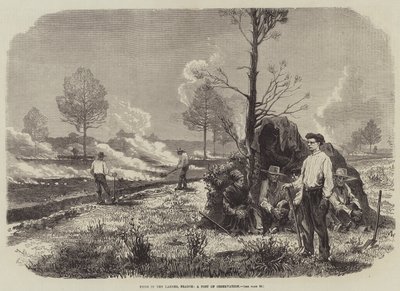 Incendi nelle Landes, Francia, un posto di osservazione da English School