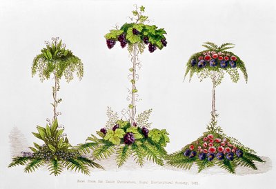Primo premio per la decorazione della tavola, Royal Horticultural Society, 1851 da English School