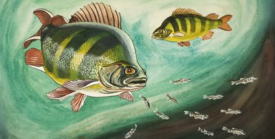 Pesce da English School