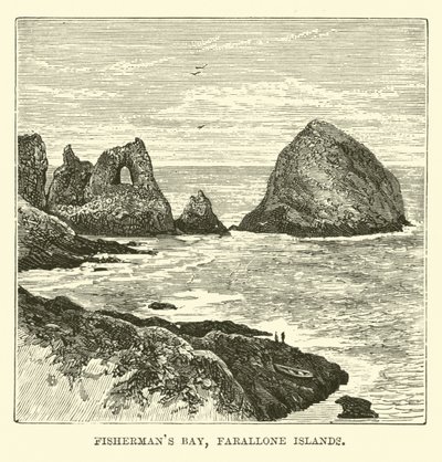 Baia dei Pescatori, Isole Farallone da English School