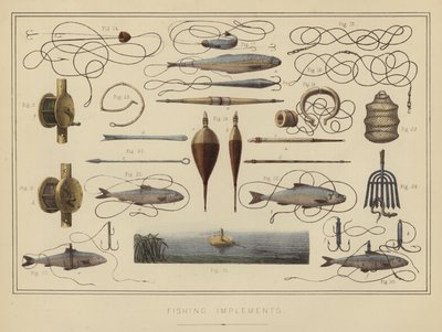 Attrezzi da Pesca da English School