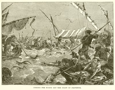 Pesca del tonno al largo della costa della Provenza da English School