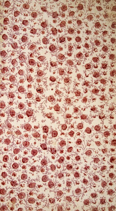 Endpaper floreale (incisione colorata a mano) da English School