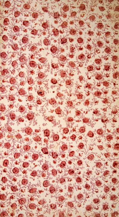 Endpaper floreale, incisione colorata a mano da English School
