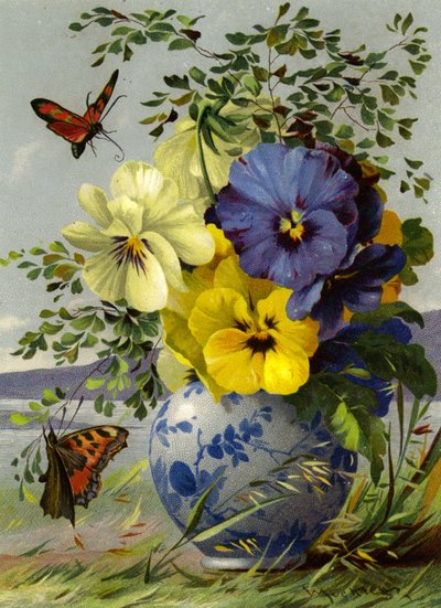 Fiori e farfalla da English School