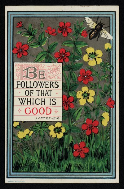 Fiori con un versetto della Bibbia da 1 Pietro 3:13, cartolina di auguri da English School