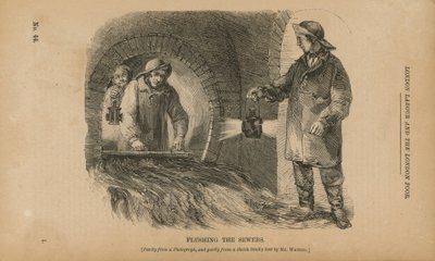 Pulizia delle fogne da English School