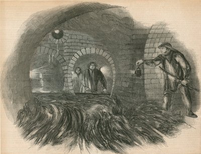 Pulizia delle fogne da English School